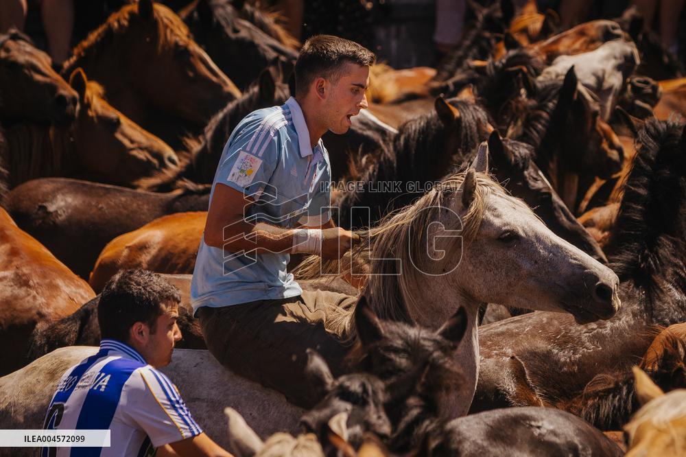 Third Day of A Rapa Das Bestas 2025 - Spain