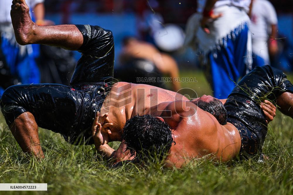 Oil Wrestling Competition - Turkey