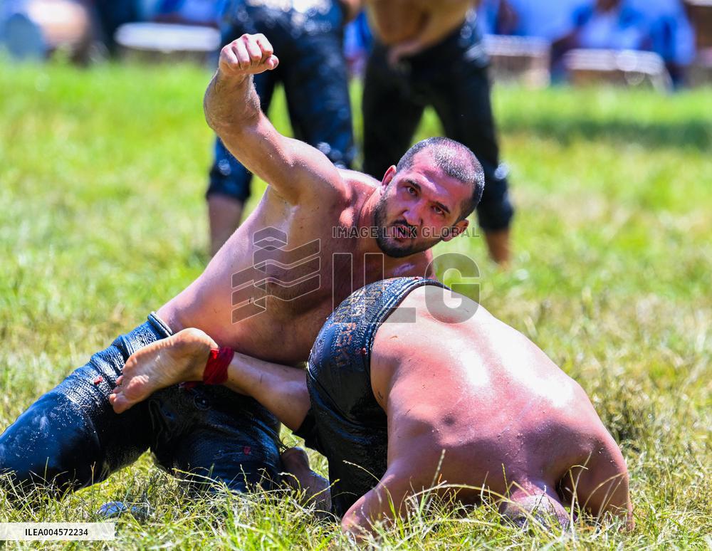 Oil Wrestling Competition - Turkey