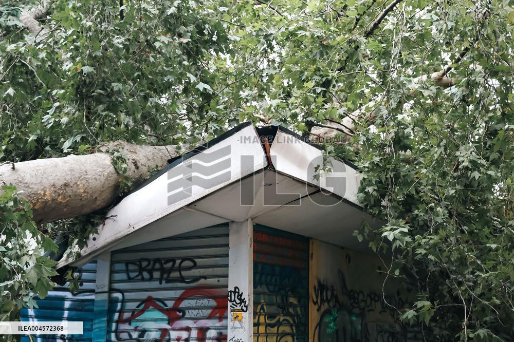 Storm Causes Damage in Milan - Italy