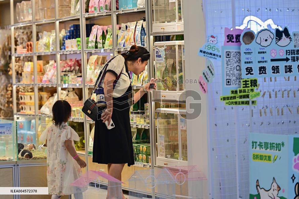 High Temperature Promotes Cooling Economy