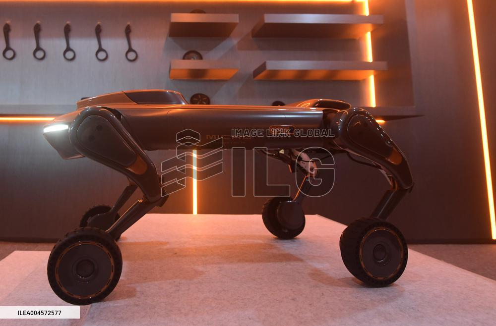 Robot Dog Training