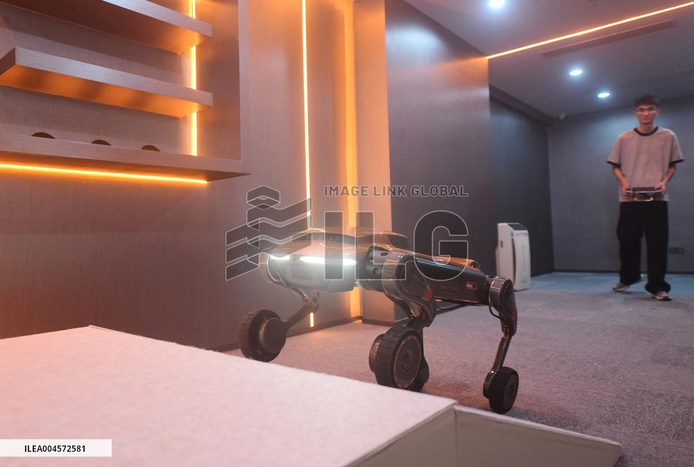 Robot Dog Training