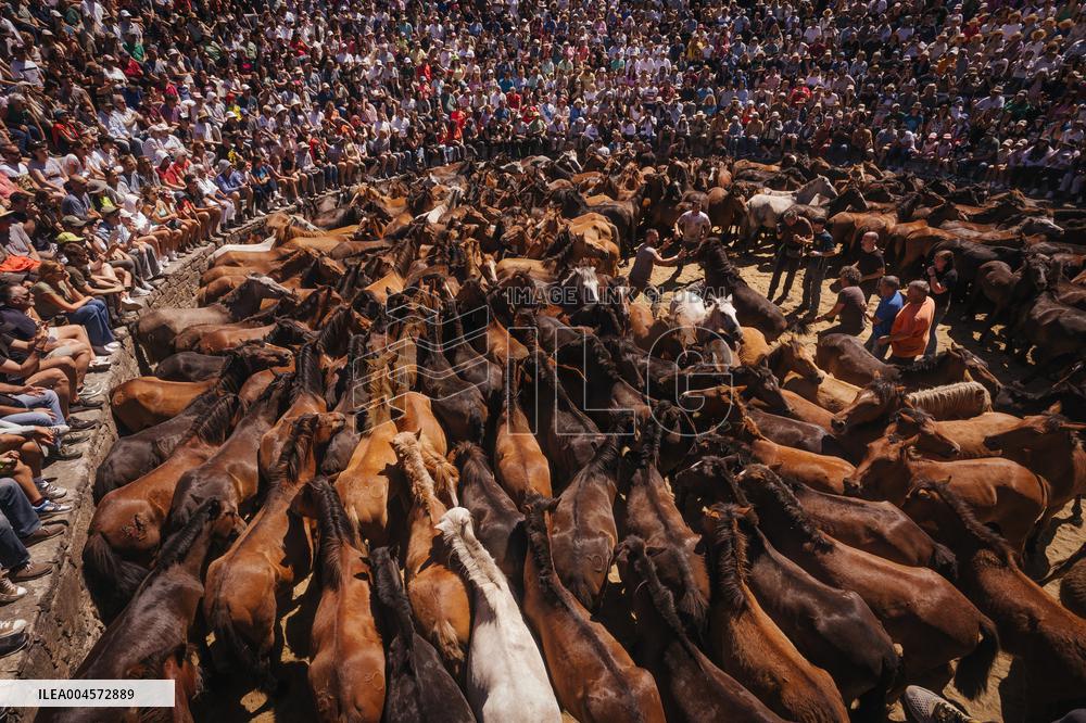 Last day of A Rapa Das Bestas 2025 - Spain