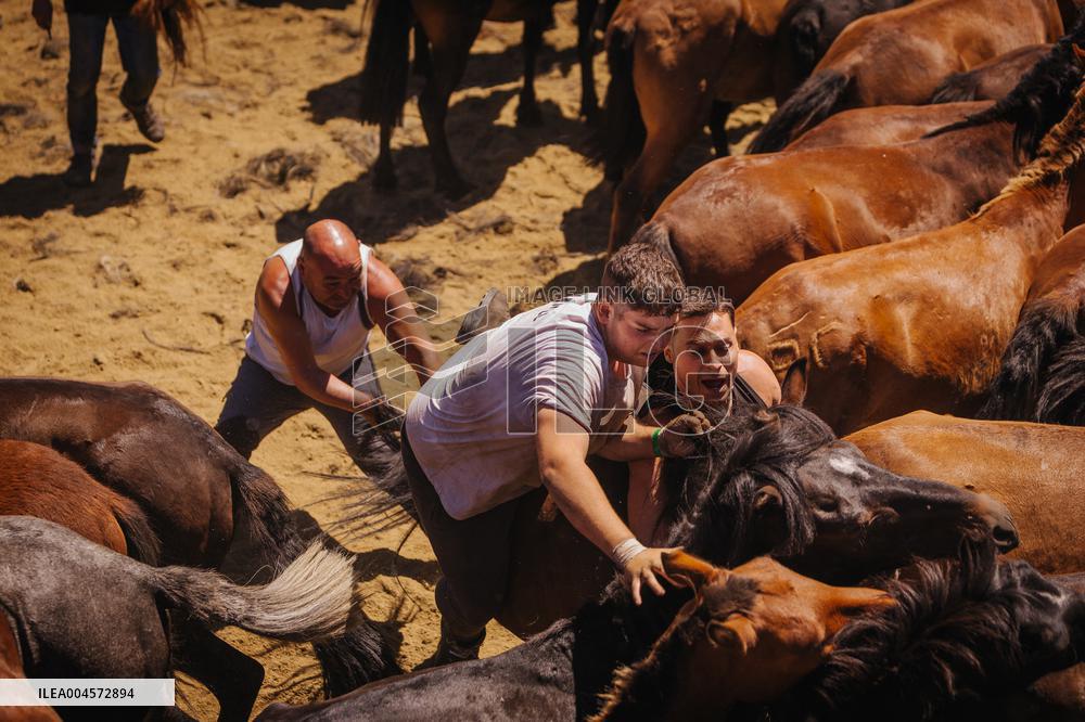 Last day of A Rapa Das Bestas 2025 - Spain