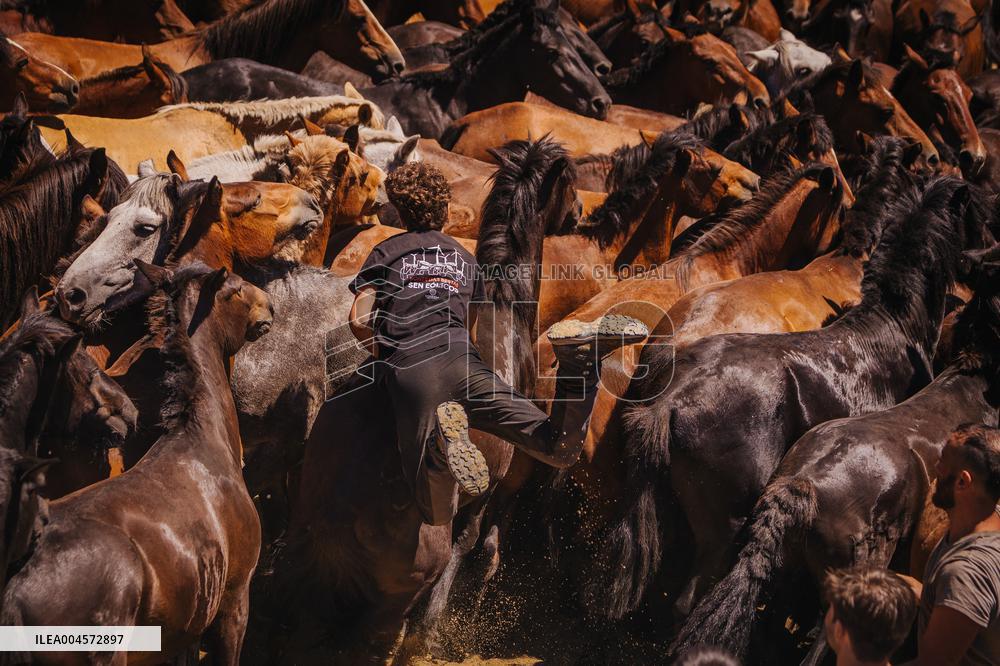 Last day of A Rapa Das Bestas 2025 - Spain