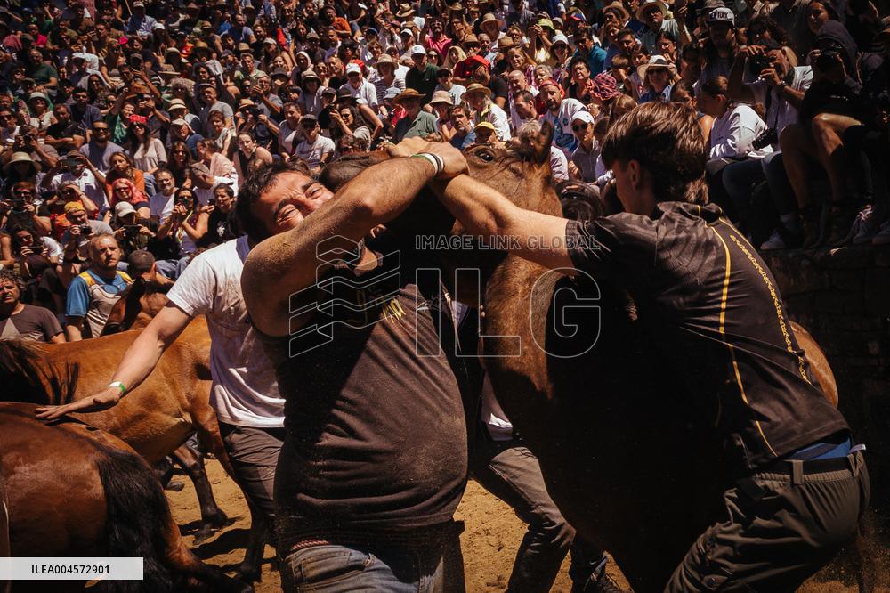 Last day of A Rapa Das Bestas 2025 - Spain