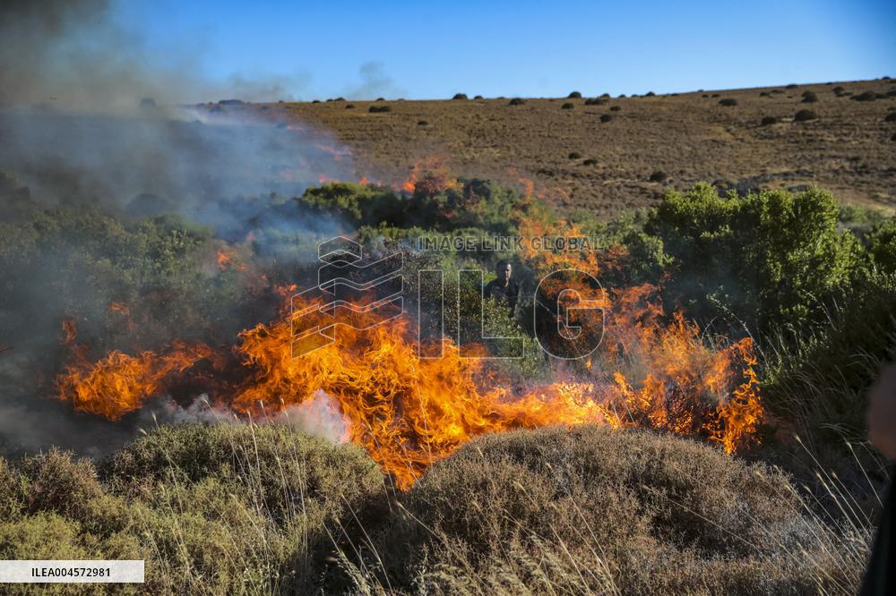 Izmir Wildfires - Turkey