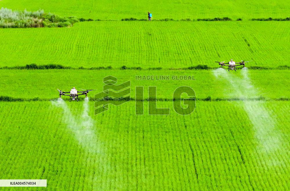 High-standard Farmland in Xing 'an League