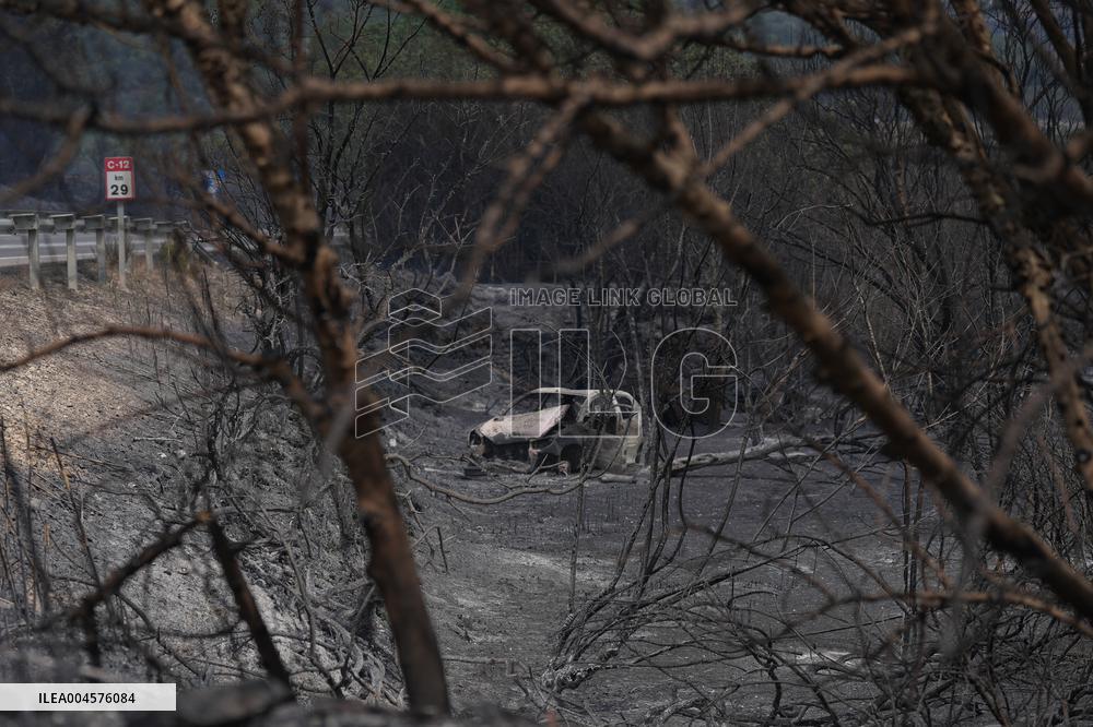 Thousands Told to Stay Home as Spain Forest Fire Rages on