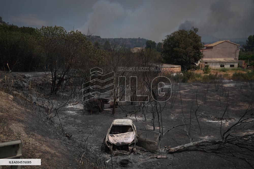 Thousands Told to Stay Home as Spain Forest Fire Rages on