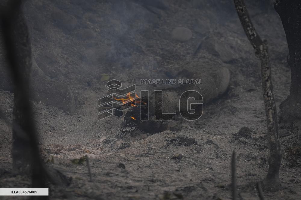 Thousands Told to Stay Home as Spain Forest Fire Rages on