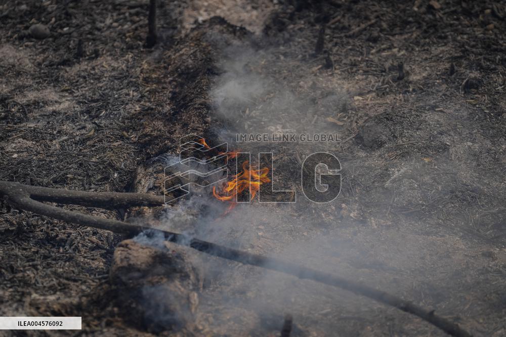 Thousands Told to Stay Home as Spain Forest Fire Rages on