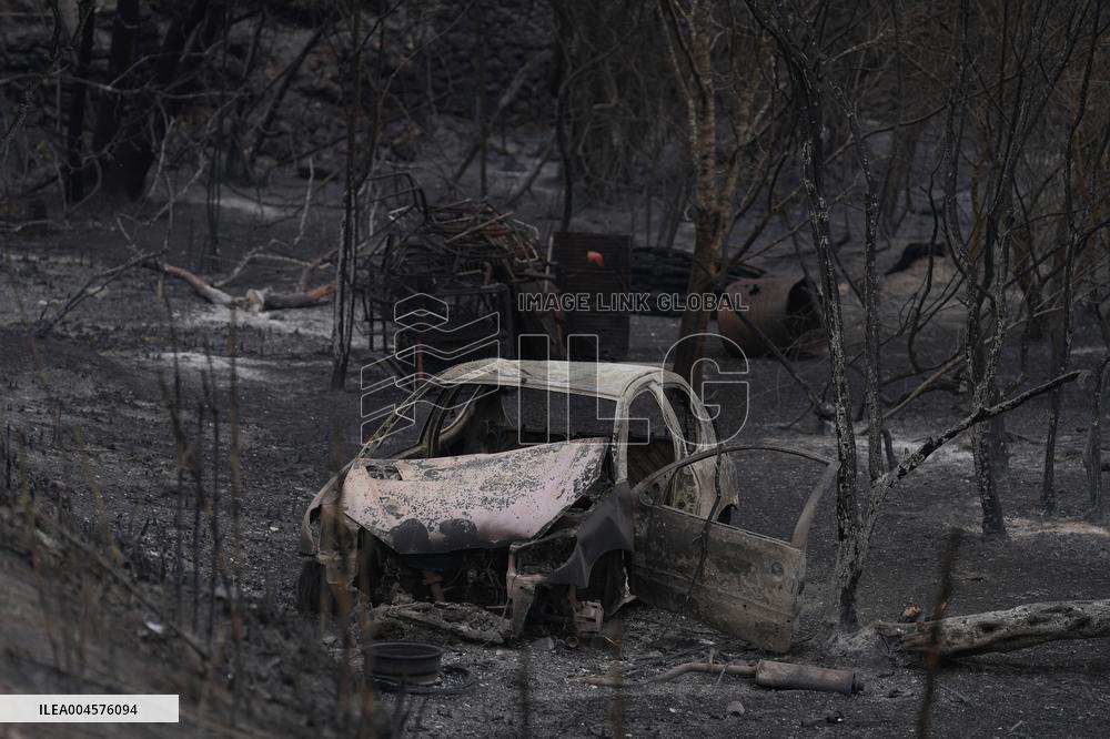 Thousands Told to Stay Home as Spain Forest Fire Rages on