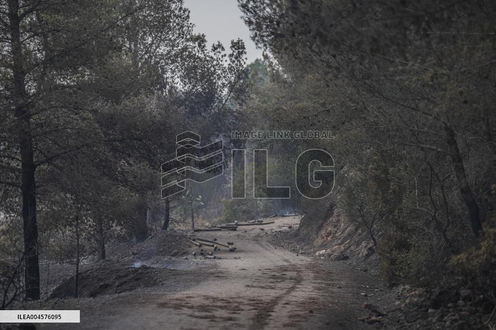 Thousands Told to Stay Home as Spain Forest Fire Rages on