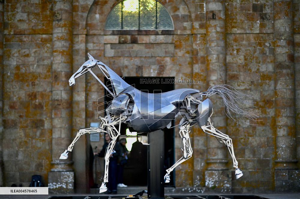 Zeus The Olympic Horse Arrives At Mont Saint-Michel