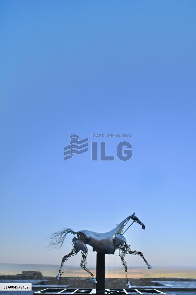 Zeus The Olympic Horse Arrives At Mont Saint-Michel