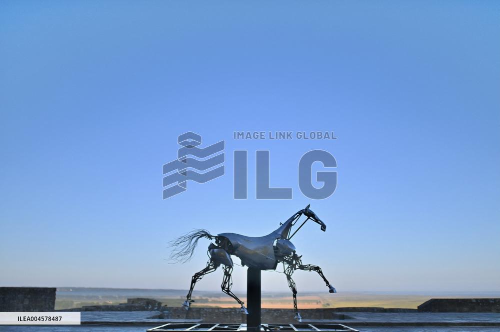 Zeus The Olympic Horse Arrives At Mont Saint-Michel
