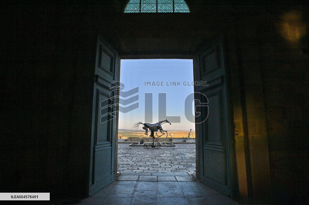 Zeus The Olympic Horse Arrives At Mont Saint-Michel