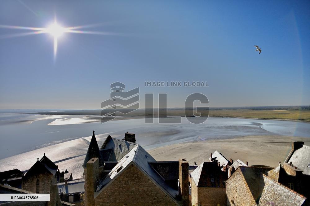Zeus The Olympic Horse Arrives At Mont Saint-Michel