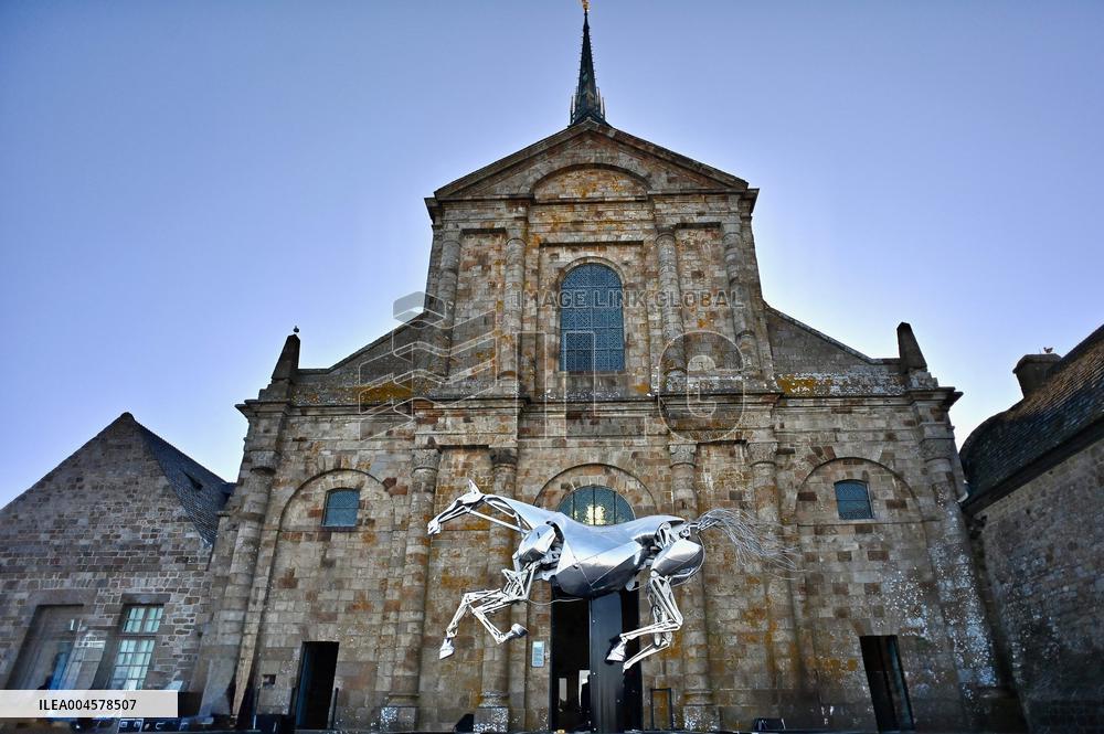 Zeus The Olympic Horse Arrives At Mont Saint-Michel