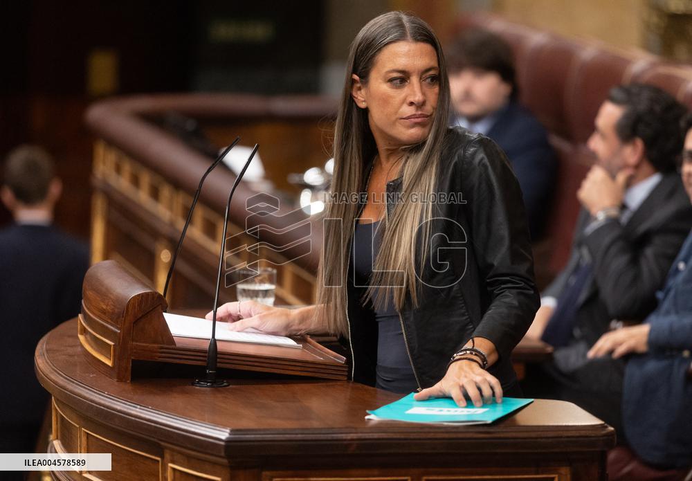 Sánchez Addresses Corruption and EU Matters in Plenary - Madrid