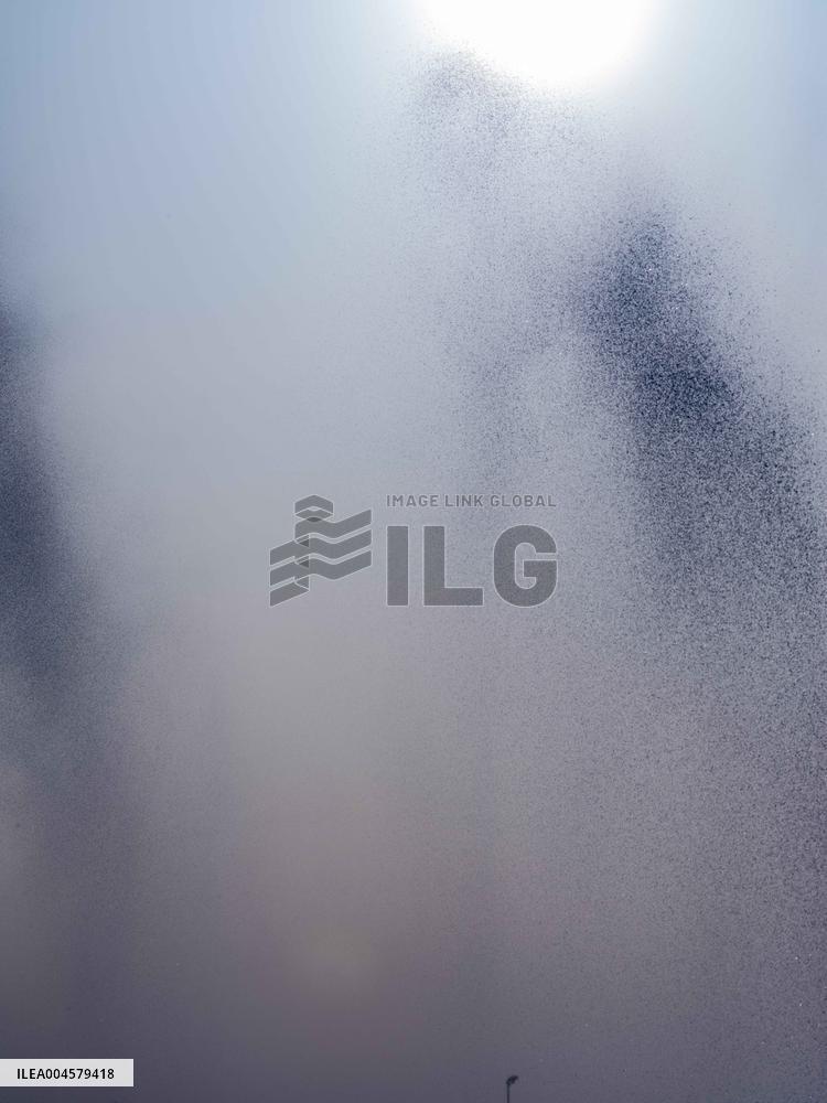 Illustration - Irrigation in Beauce Agriculture - France