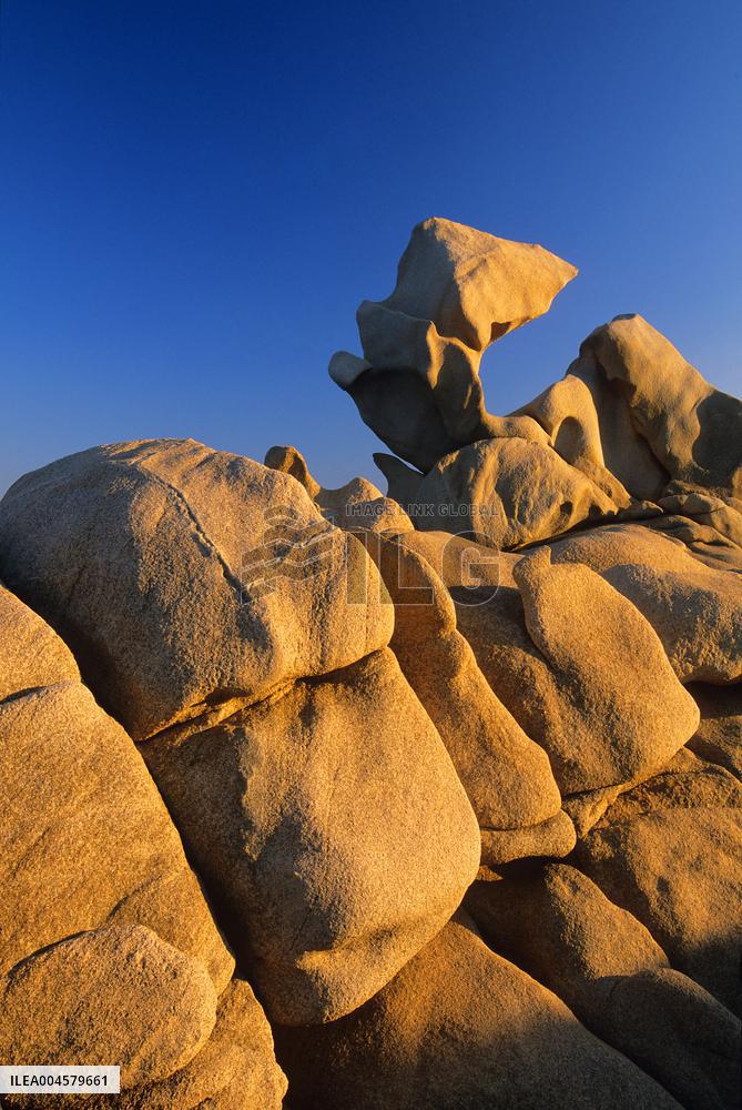 Illustration - Campomoro