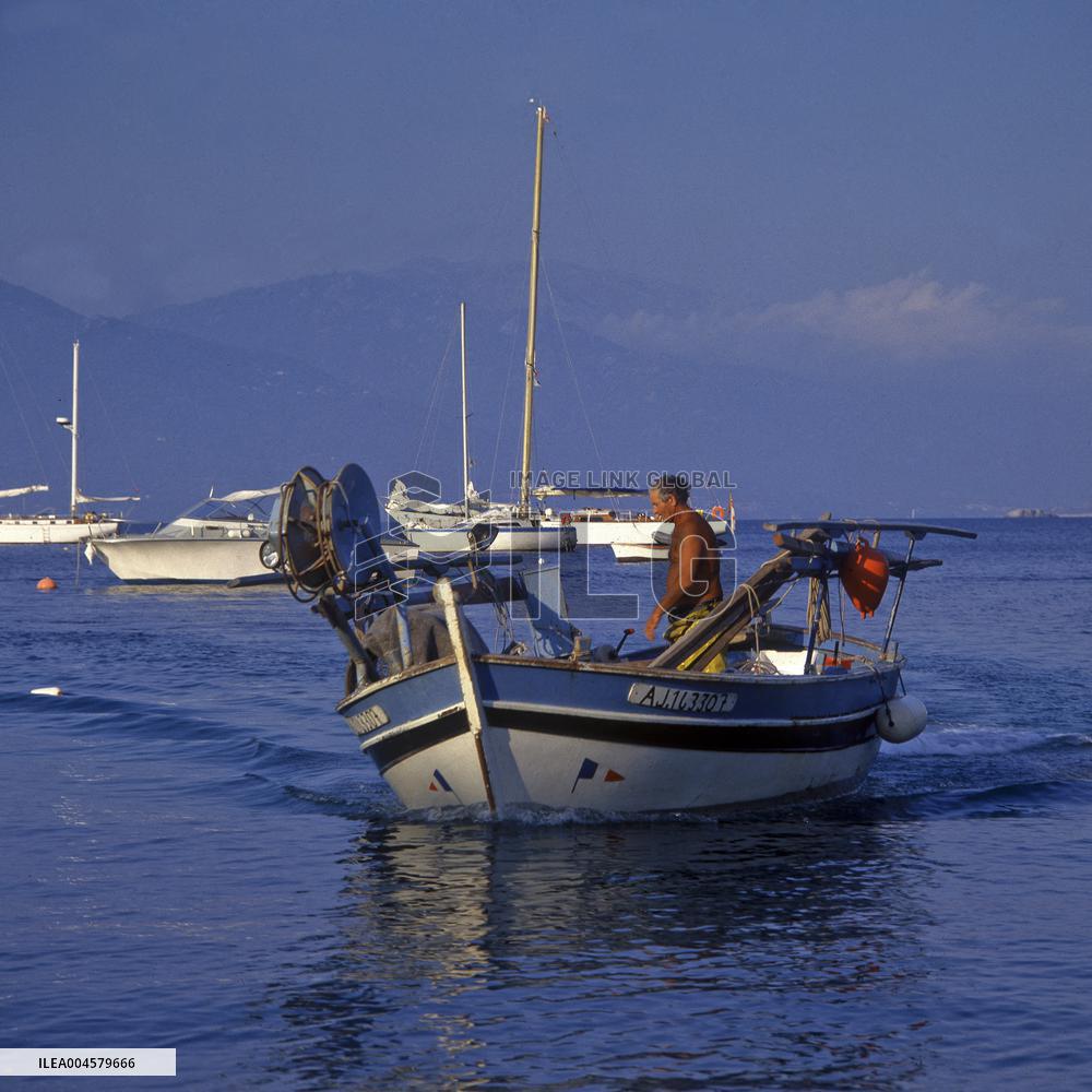 Illustration - Campomoro