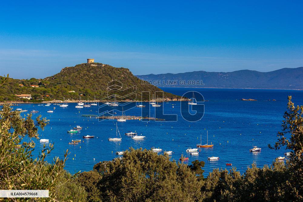 Illustration - Campomoro