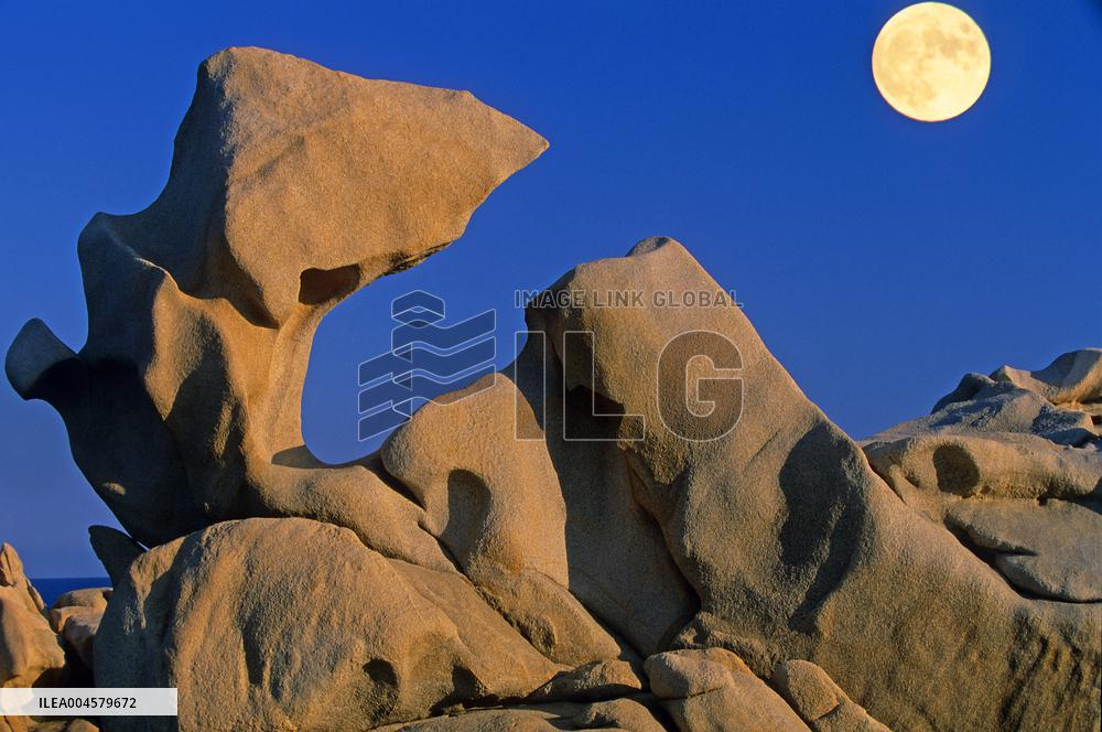 Illustration - Campomoro