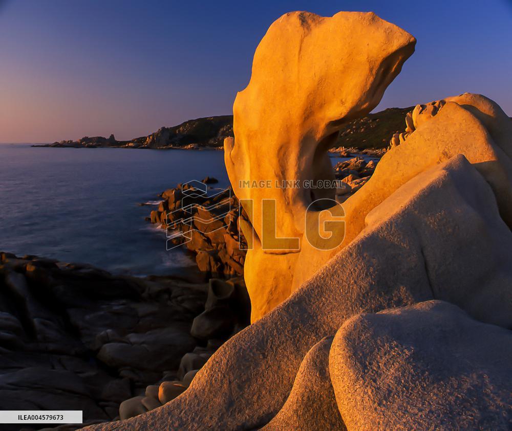 Illustration - Campomoro