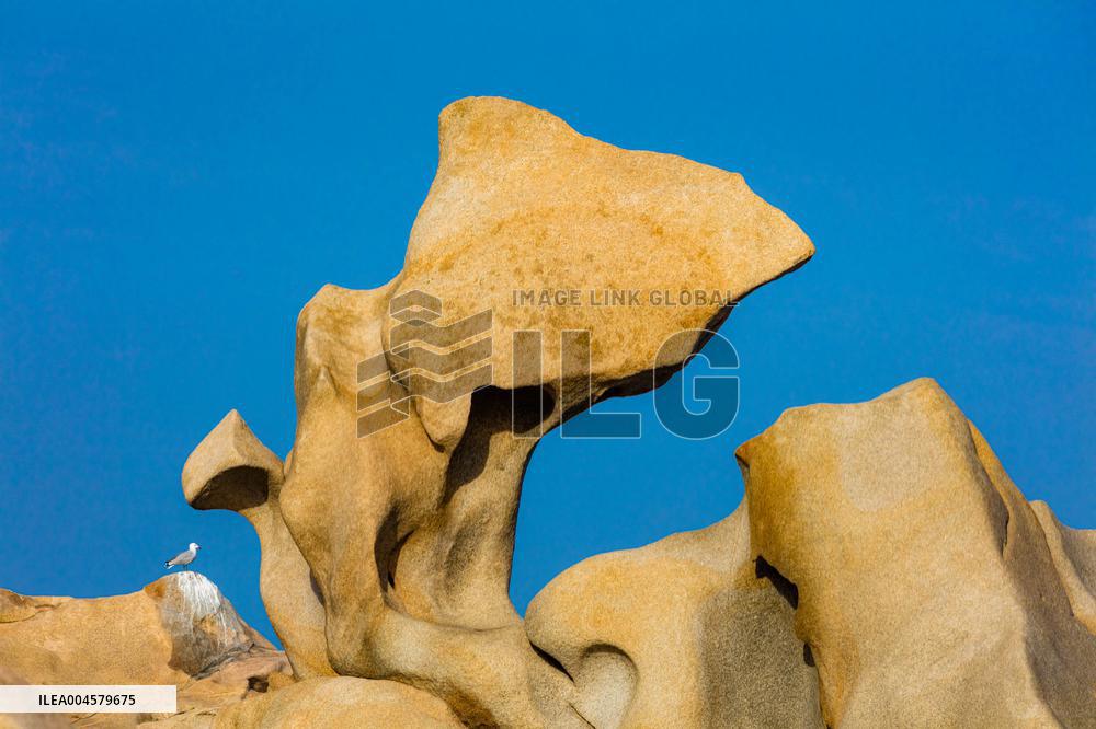 Illustration - Campomoro