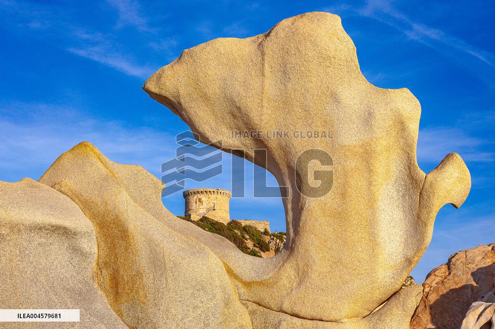 Illustration - Campomoro