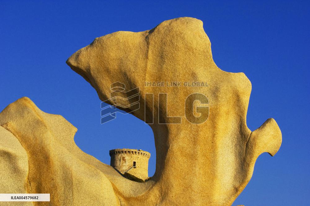 Illustration - Campomoro