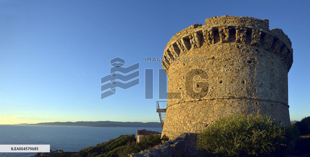 Illustration - Campomoro