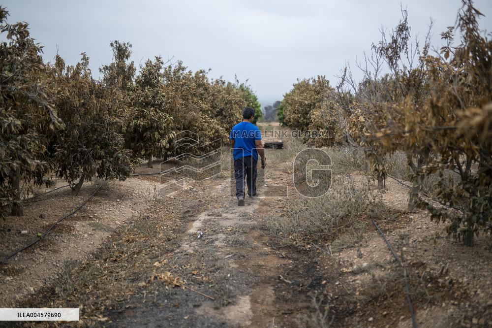 The Fire, Which Has Already Burned 3,321 Hectares, Is Under Control - Spain