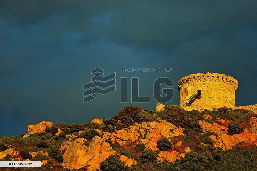 Illustration - Campomoro