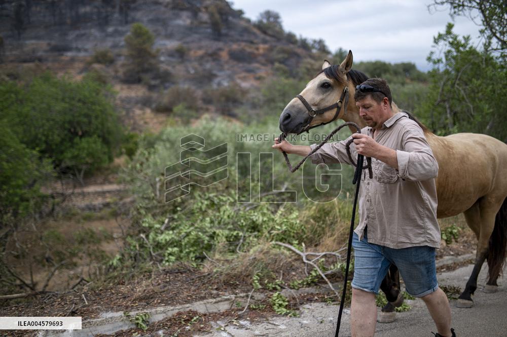 The Fire, Which Has Already Burned 3,321 Hectares, Is Under Control - Spain