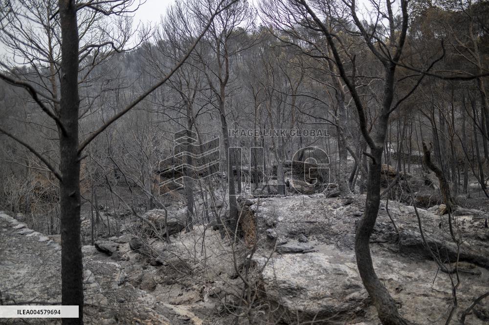 The Fire, Which Has Already Burned 3,321 Hectares, Is Under Control - Spain