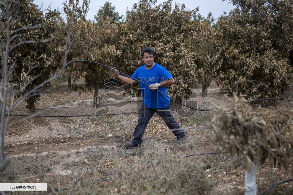 The Fire, Which Has Already Burned 3,321 Hectares, Is Under Control - Spain