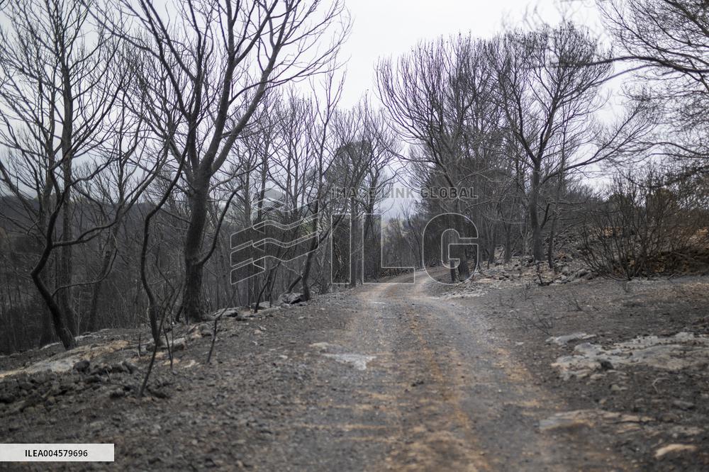 The Fire, Which Has Already Burned 3,321 Hectares, Is Under Control - Spain