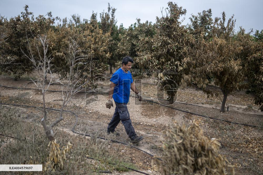 The Fire, Which Has Already Burned 3,321 Hectares, Is Under Control - Spain