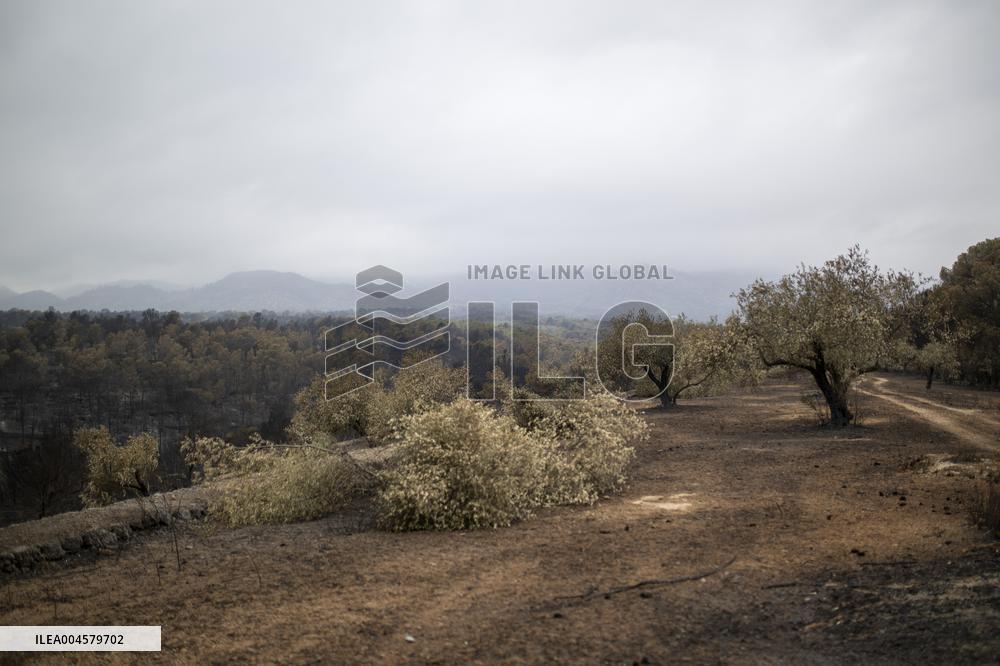 The Fire, Which Has Already Burned 3,321 Hectares, Is Under Control - Spain