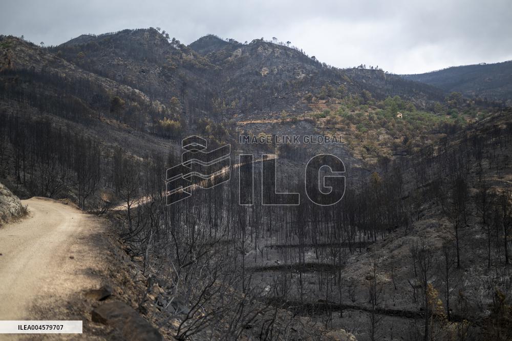 The Fire, Which Has Already Burned 3,321 Hectares, Is Under Control - Spain