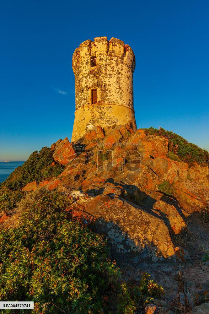 Illustration - Ajaccio