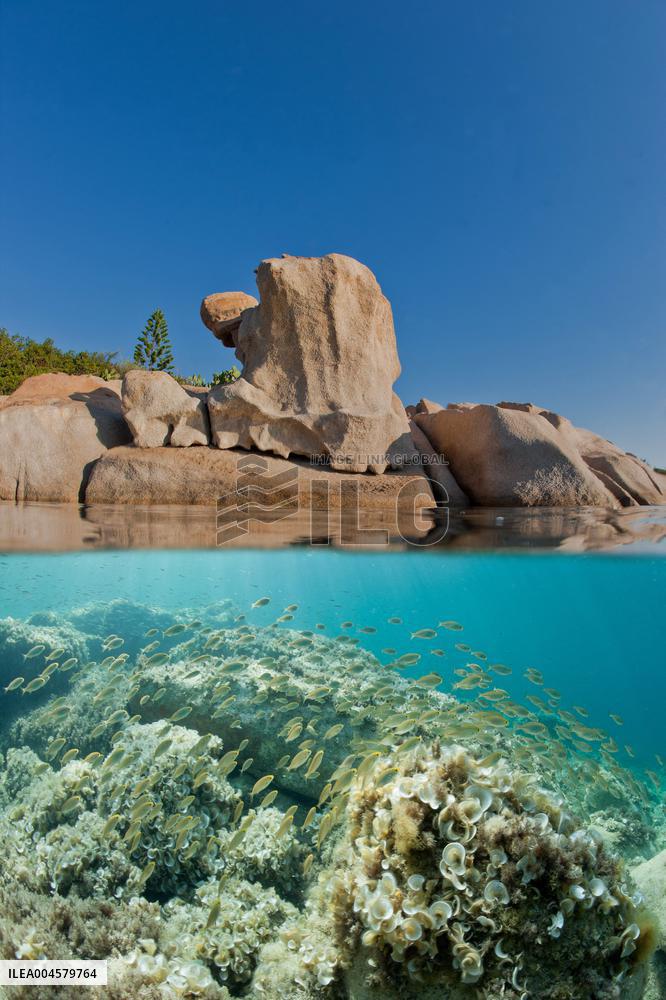 Illustration - Ajaccio