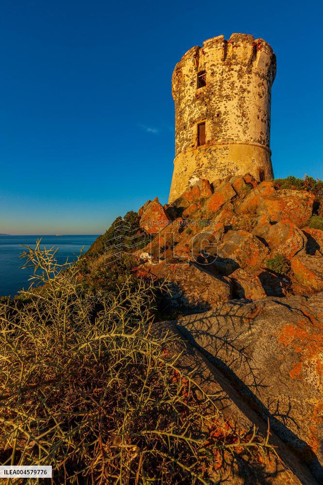 Illustration - Ajaccio