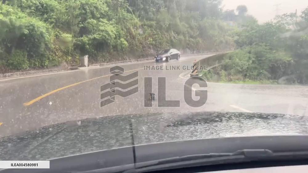 China: Man Rescues Shivering Puppies From Rain-Swept Road