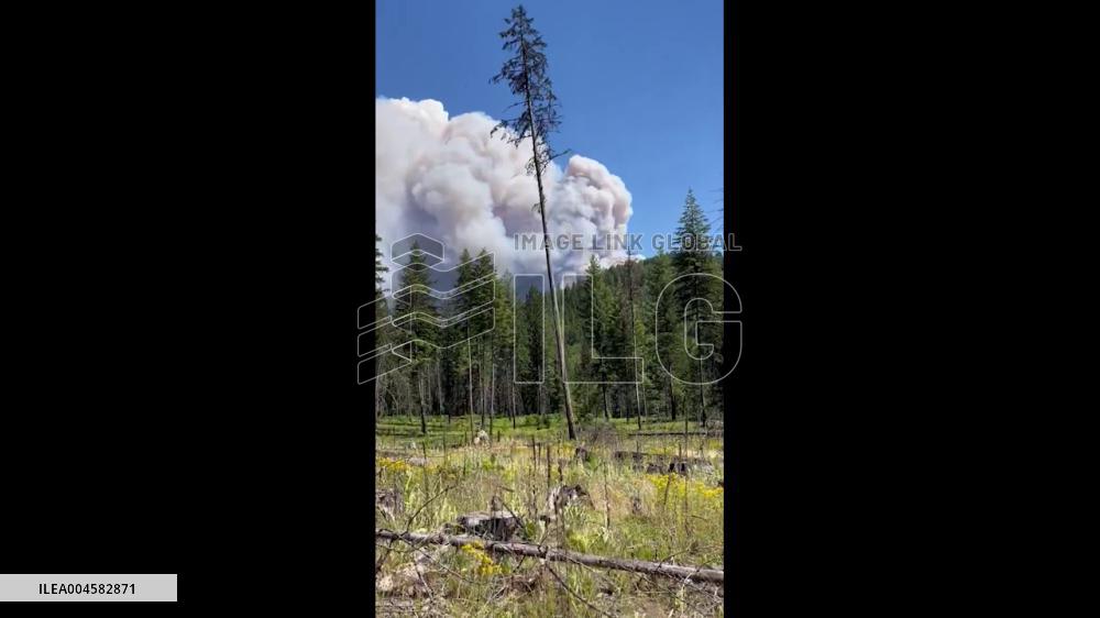 US: Hope Fire Rages Near Kettle Falls, Washington, Burning About 7,000 Acres